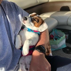 Meet your Posher, Andy